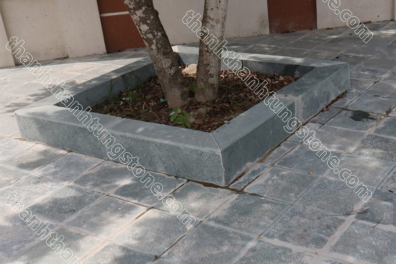 Đá bó vỉa gốc cây xanh rêu