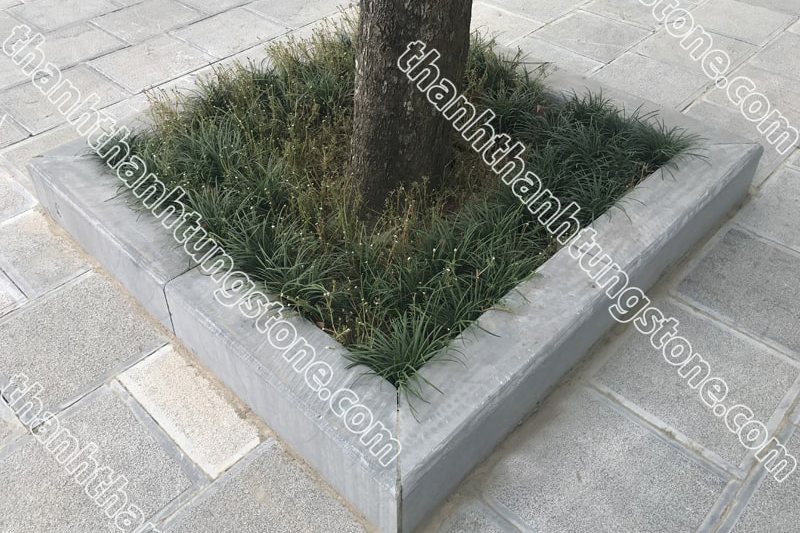 Đá bó vỉa gốc cây xanh đen
